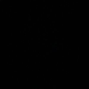 Meet your Posher, Mika